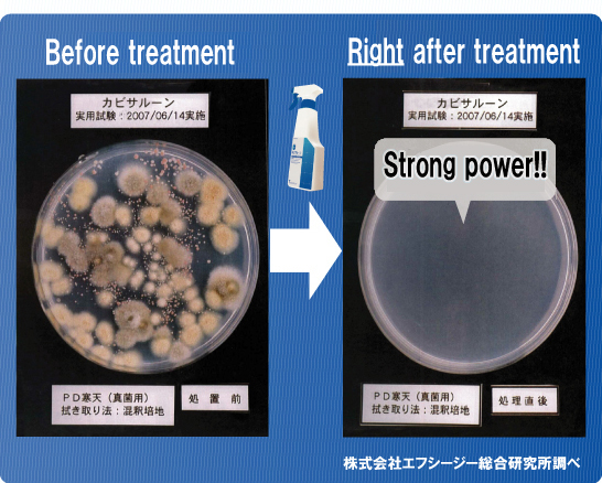 Mold removal test result