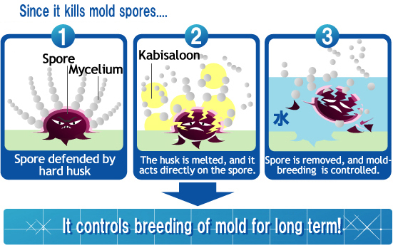 Flow of spore removal