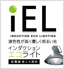 iEL�Ɩ�(�H��E�q�ɗp�ȃG�l�Ɩ�)