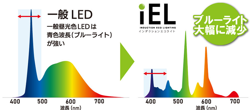 一般LEDの波長,インダクションエコライトのブルーライトの波長が少ない光の波長比較画像