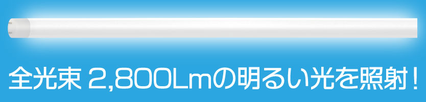 全光束2800Lm