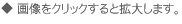 拡大